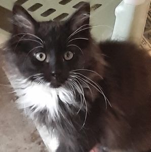 Meet your Posher, Barbara